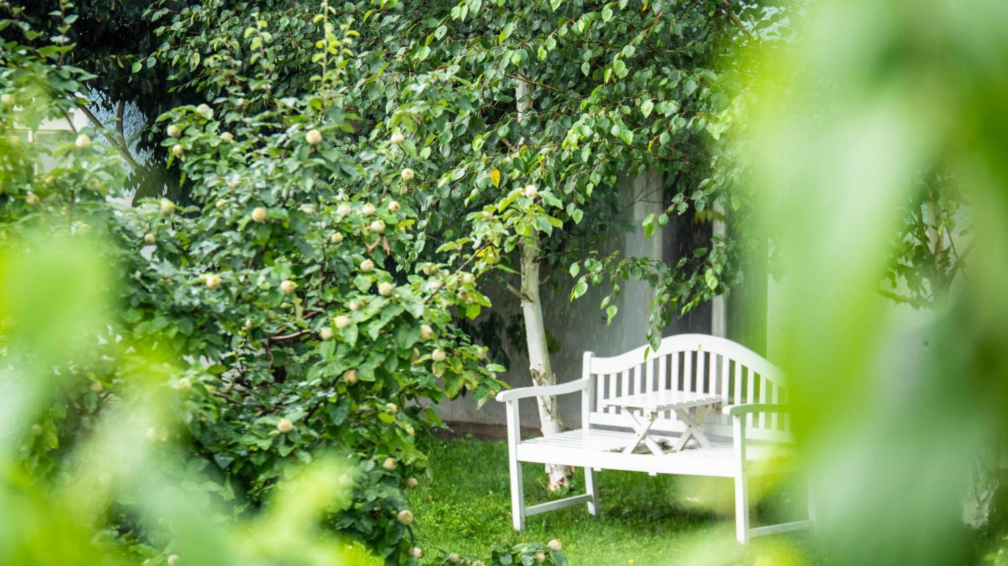 Hotel Villa Rueckert Graz Eksteriør billede